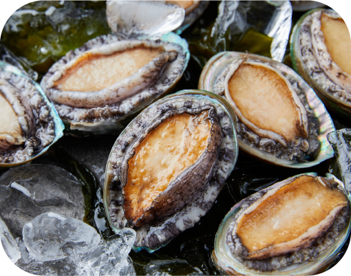 Wando Abalone